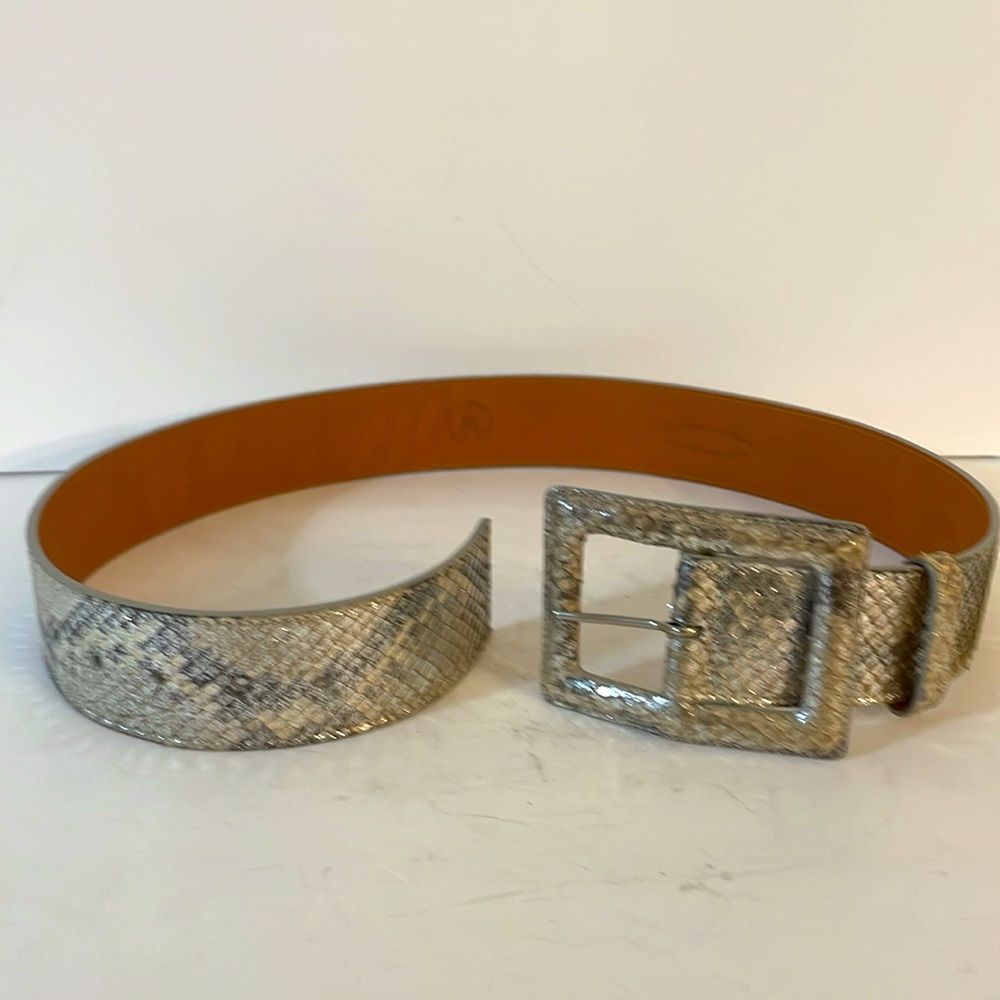 Python Snake Belt Silver 31” - image 3